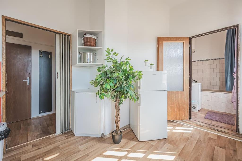 Carolina'S Romantic Apartment Hradec Králové 외부 사진